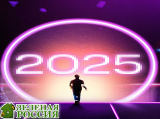        2025 